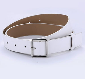 Metal Pin Buckle Belt - UrbClo